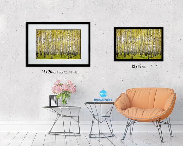 Birch Grove Trees Autumn Landscape Painting Print Art Frame Home Wall Decor Gifts