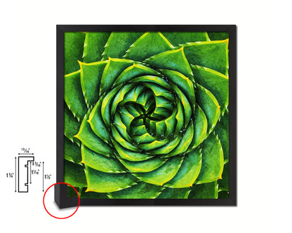 Aloe Succulent African Evergreen Leaves Spiral Plant Wood Framed Print Decor Wall Art Gifts