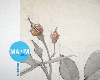 Anemoniflora Vintage Botanical Rose Flower Art Wood Framed Print Wall Decor Gifts