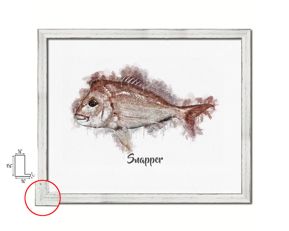 Snapper Fish Framed Prints Modern Restaurant Sushi Bar Watercolor Wall Art Decor