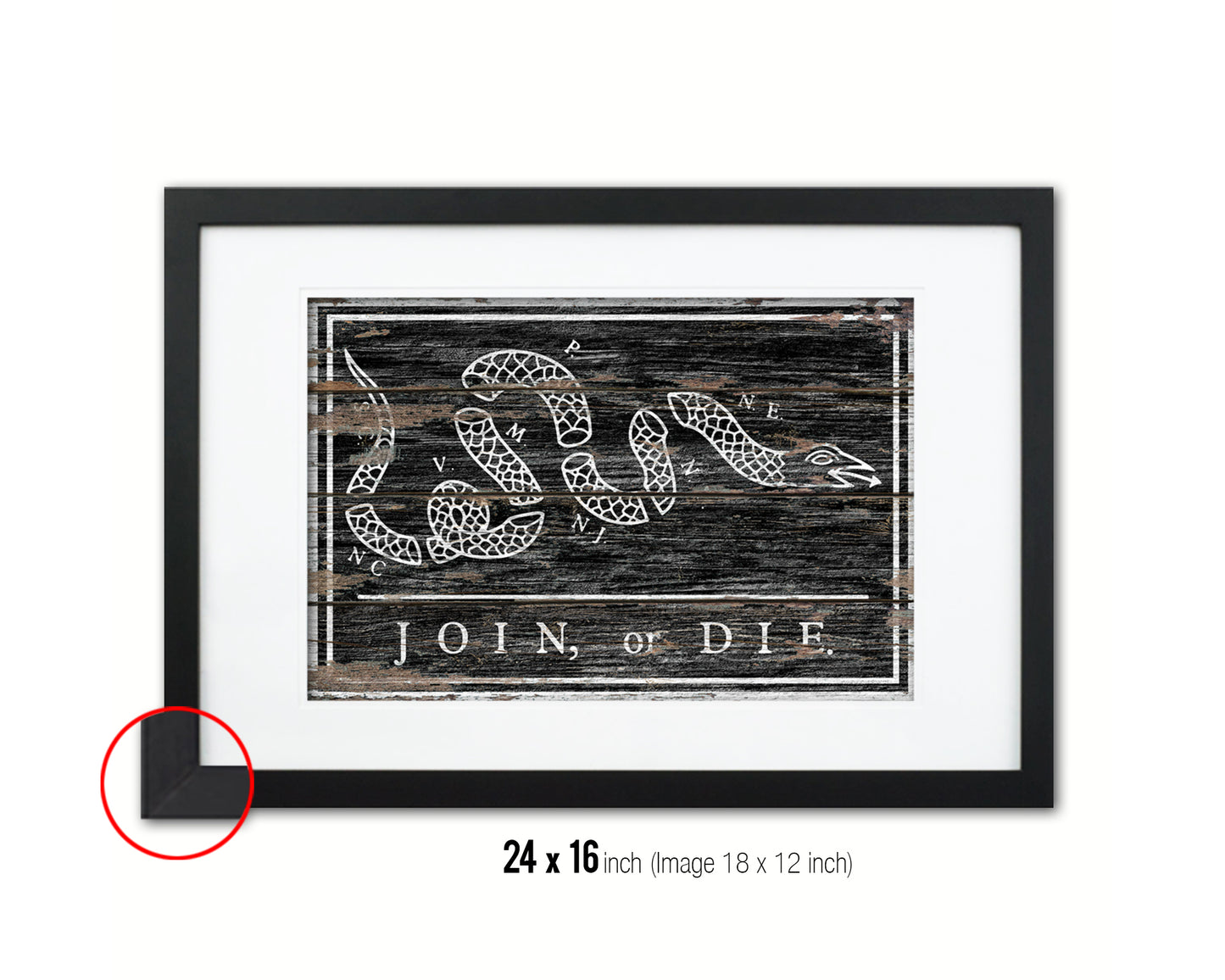 US Join or Die Snake Colonial Revolutionary War Wood Rustic Flag Framed Print Art