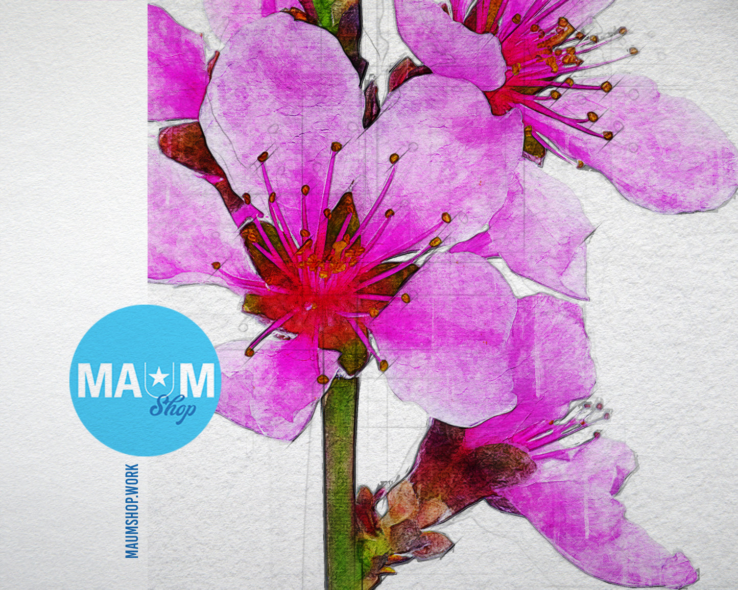 Flowering Cherry Sketch Plants Art Wood Framed Print Wall Decor Gifts