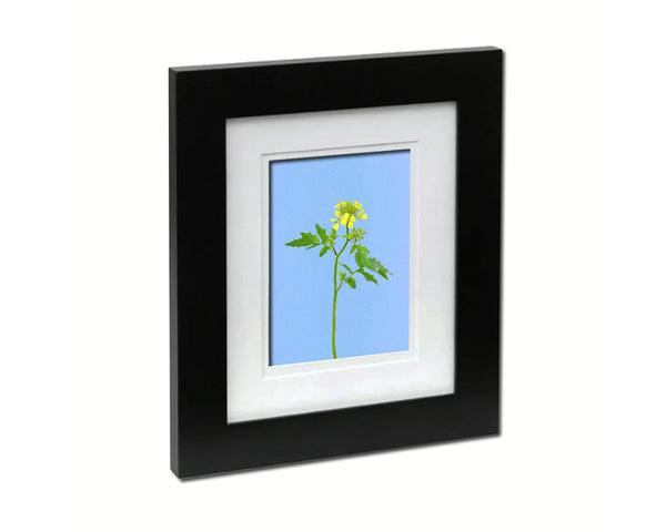 White Mustard Colorful Plants Art Wood Framed Print Wall Decor Gifts