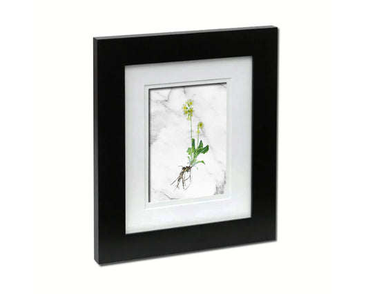 Paigle Primula Marble Texture Plants Art Wood Framed Print Wall Decor Gifts