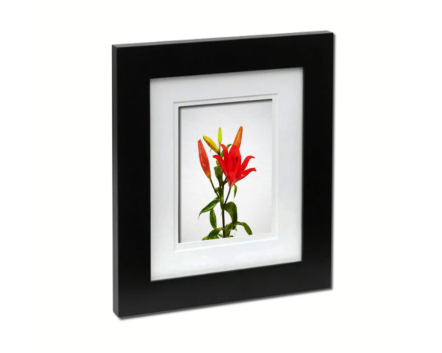 Red Lily Sketch Plants Art Wood Framed Print Wall Decor Gifts