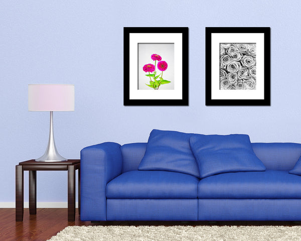 Pink Zinnia Sketch Plants Art Wood Framed Print Wall Decor Gifts