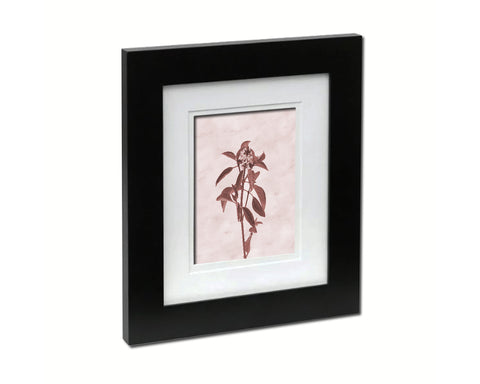 Basil Sepia Plants Art Wood Framed Print Wall Decor Gifts