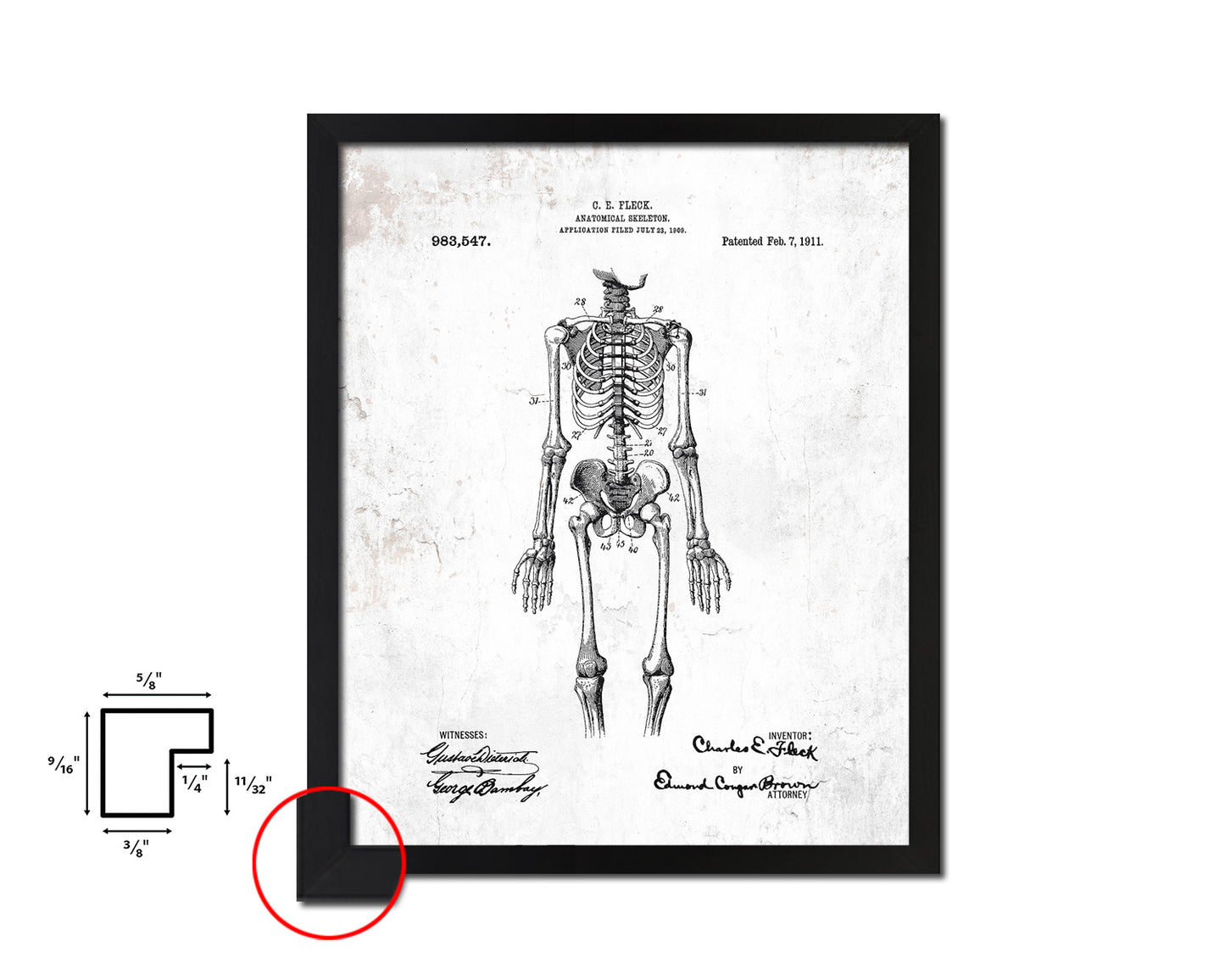 Anatomical Skeleton Doctor Vintage Patent Artwork Black Frame Print Wall Art Decor Gifts