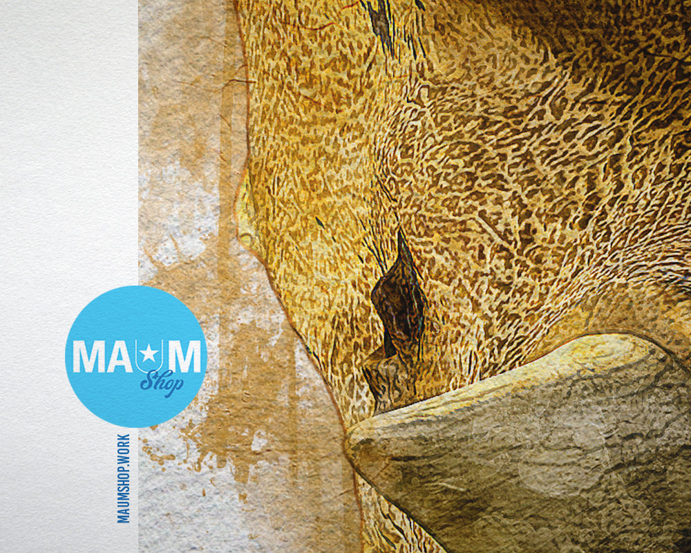 Triceratops Animal Painting Print Framed Art Home Wall Decor Gifts