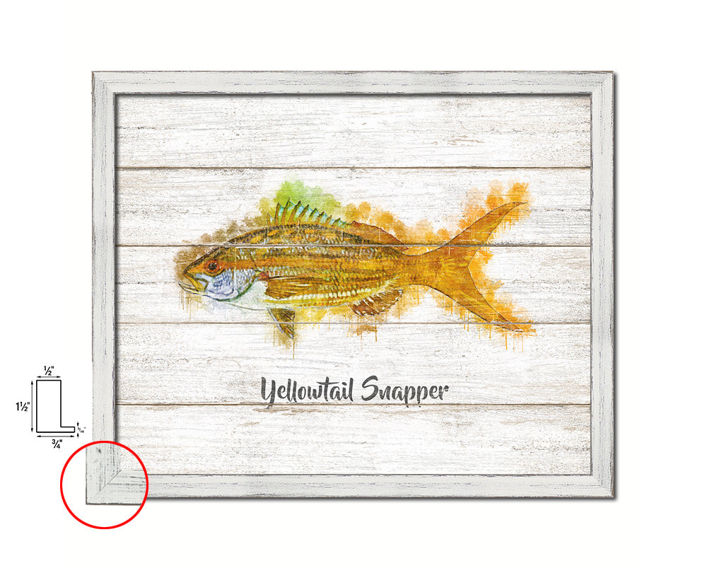 Yellowtail Snapper Fish Framed Prints Modern Restaurant Sushi Bar Watercolor Wall Art Decor