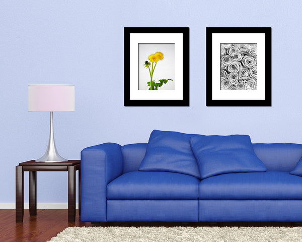 Dandelion Sketch Plants Art Wood Framed Print Wall Decor Gifts
