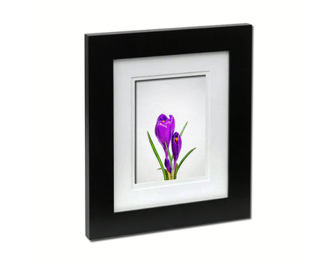 Purple Crocus Spring Sketch Plants Art Wood Framed Print Wall Decor Gifts