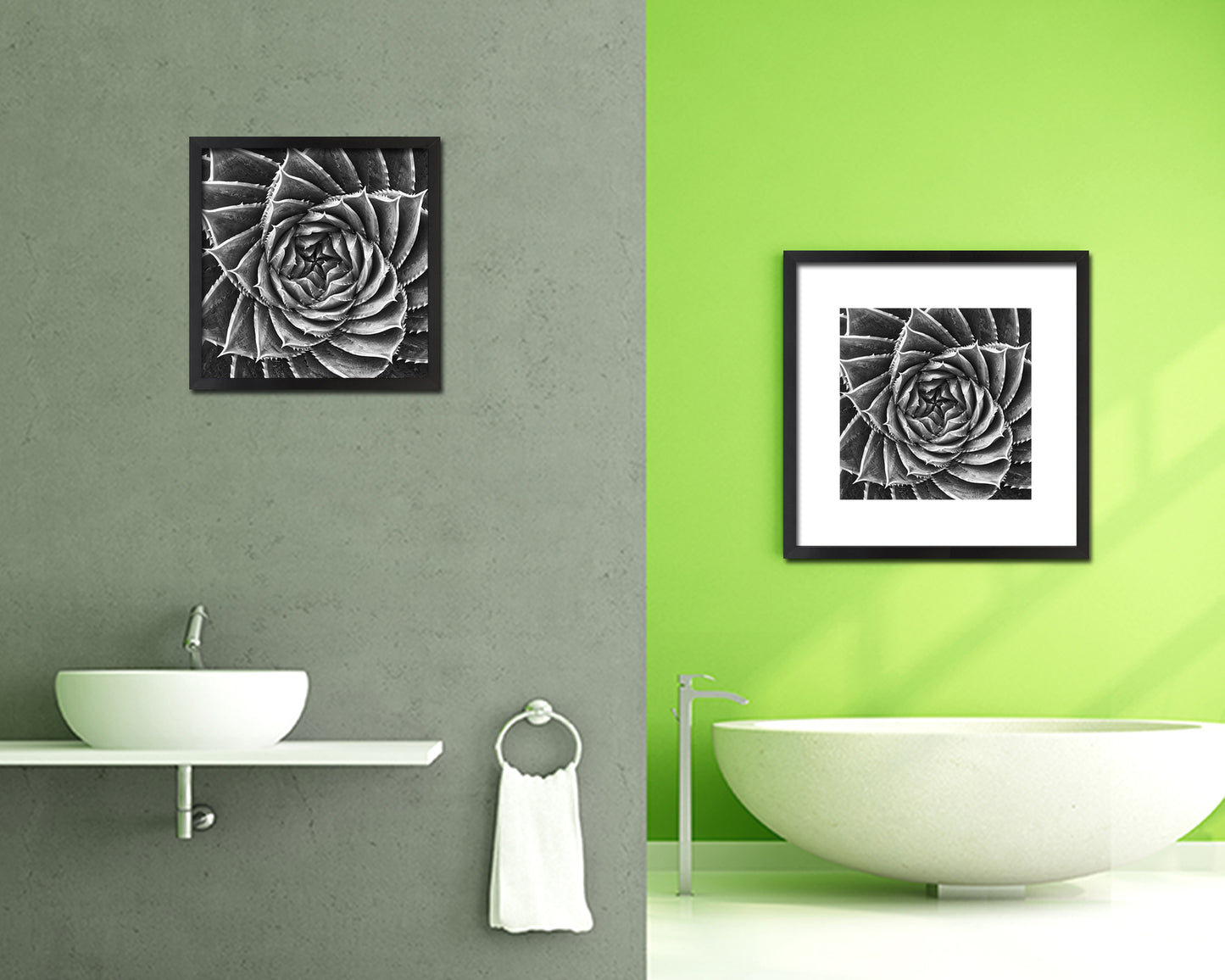 Spiral Leaves Plants B &W Succulent Leaves Spiral Plant Wood Framed Print Decor Wall Art Gifts