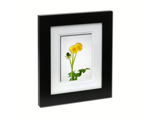 Dandelion Sketch Plants Art Wood Framed Print Wall Decor Gifts