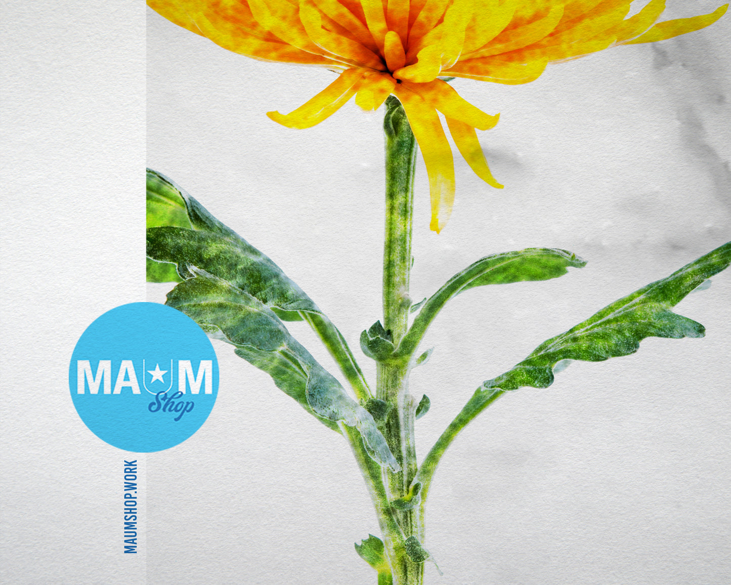 Yellow Chrysanthemum Flower Marble Texture Plants Art Wood Framed Print Wall Decor Gifts