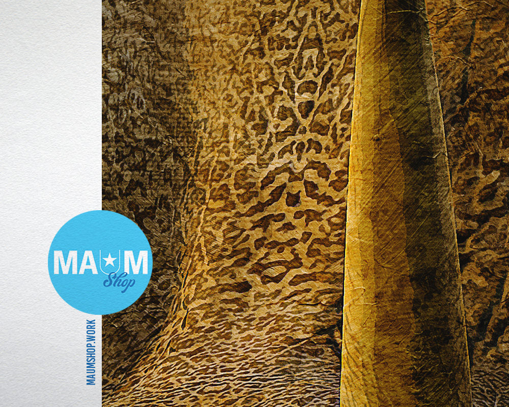 Triceratops Animal Painting Print Framed Art Home Wall Decor Gifts