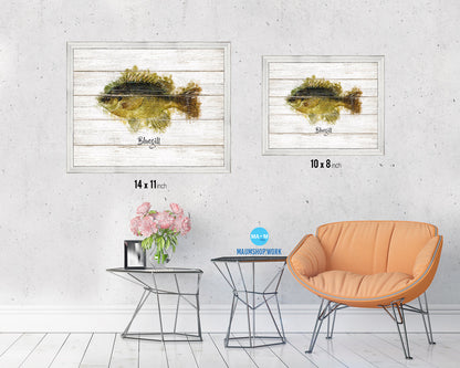 Bluegill Fish Framed Prints Modern Restaurant Sushi Bar Watercolor Wall Art Decor