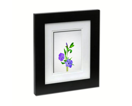 Blue Periwinkle Sketch Plants Art Wood Framed Print Wall Decor Gifts