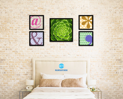 Cactus Plant Succulents Evergreen Leaves Spiral Plant Wood Framed Print Decor Wall Art Gifts