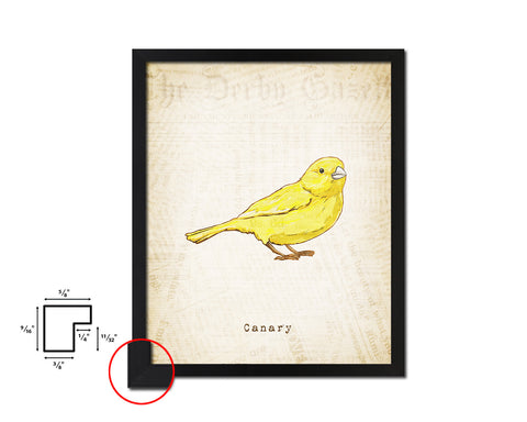 Canary Vintage Bird Fine Art Paper Prints Home Decor Wall Art Gifts