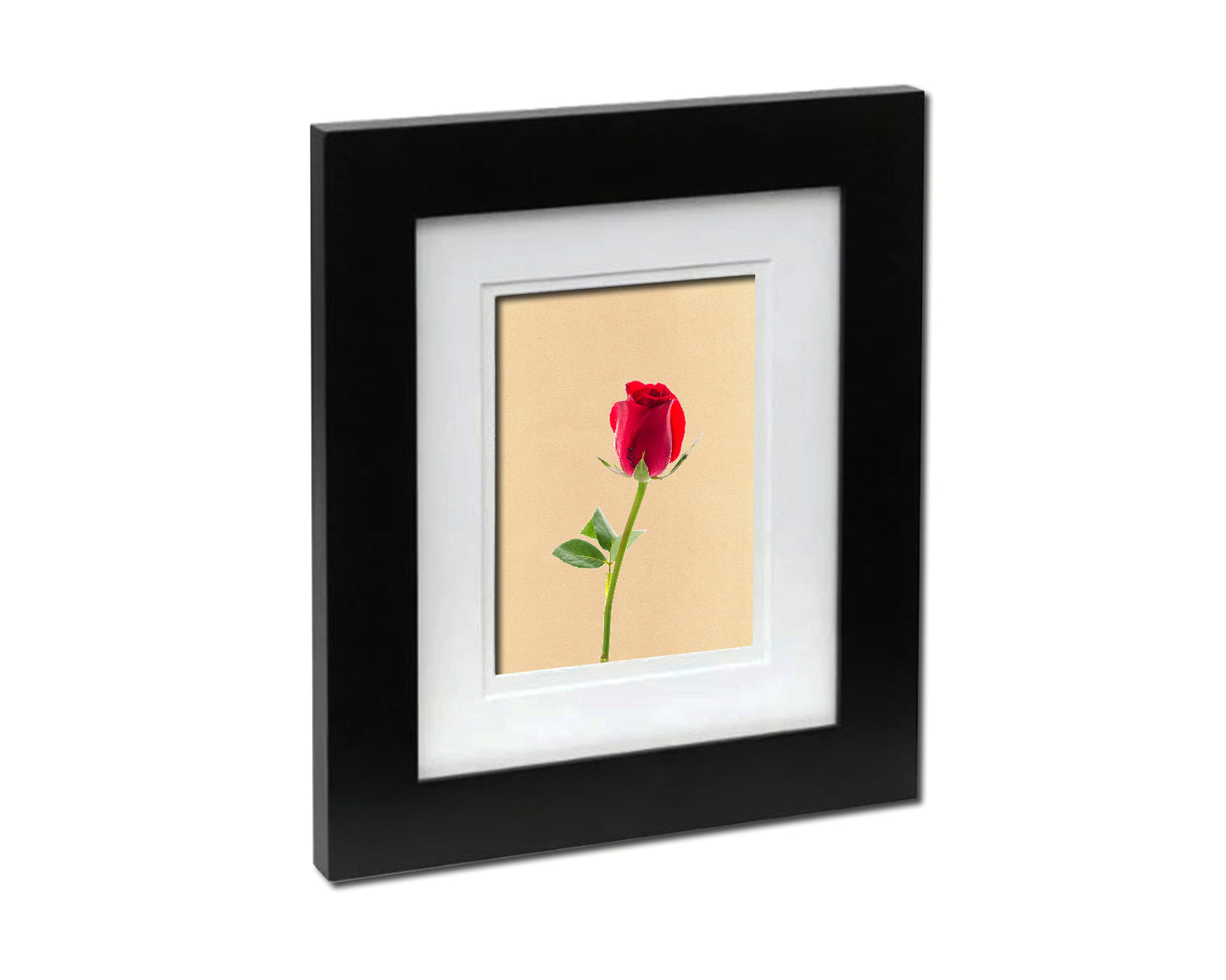 Red Rose Colorful Plants Art Wood Framed Print Wall Decor Gifts