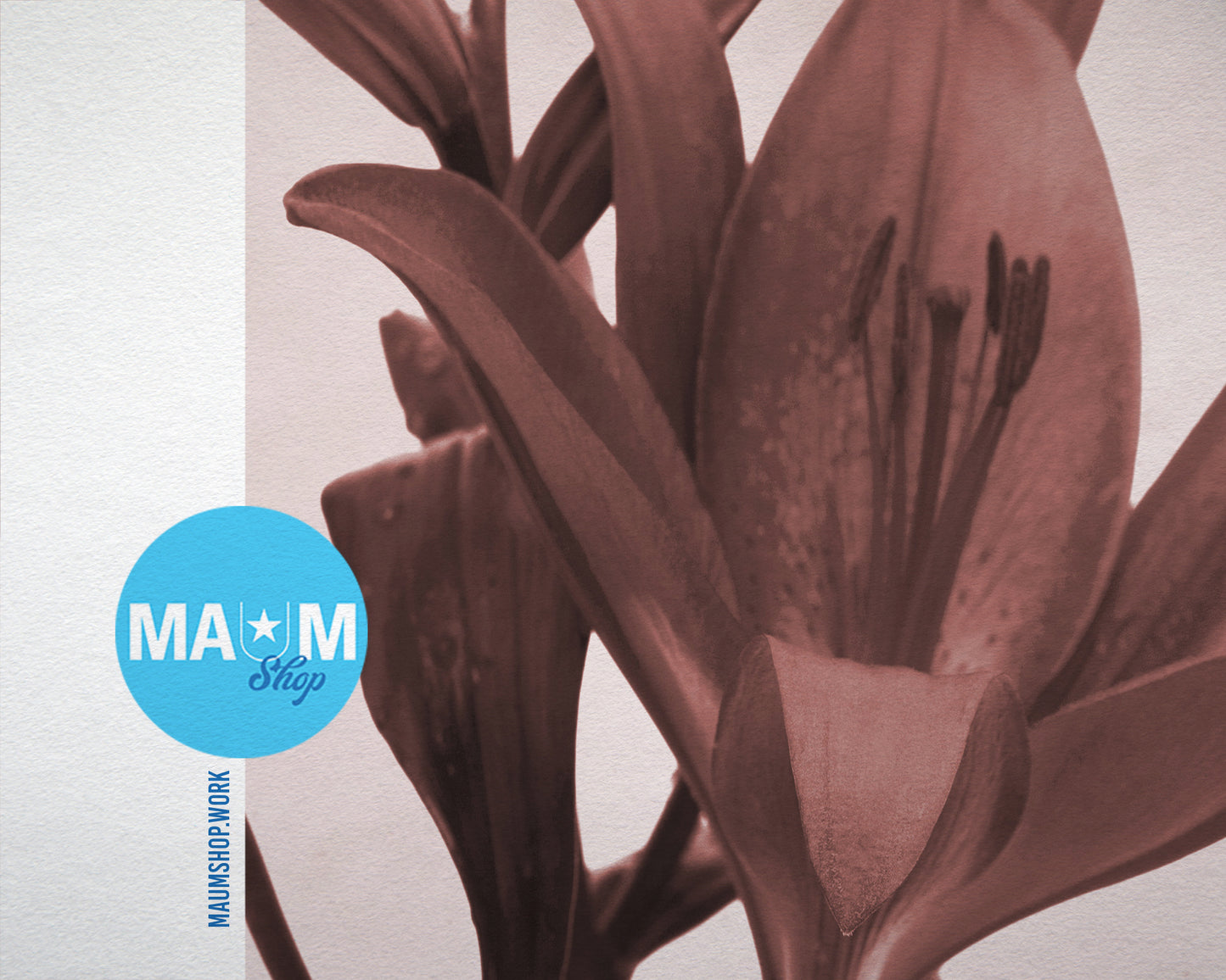 Red Lily Sepia Plants Art Wood Framed Print Wall Decor Gifts