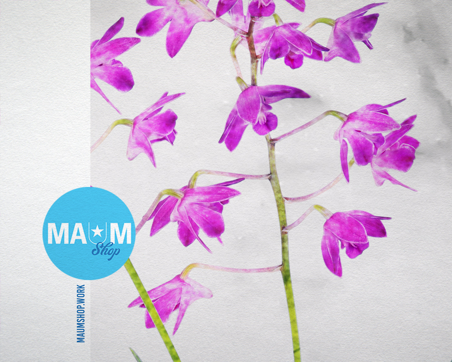 Dendrobium Orchid Marble Texture Plants Art Wood Framed Print Wall Decor Gifts