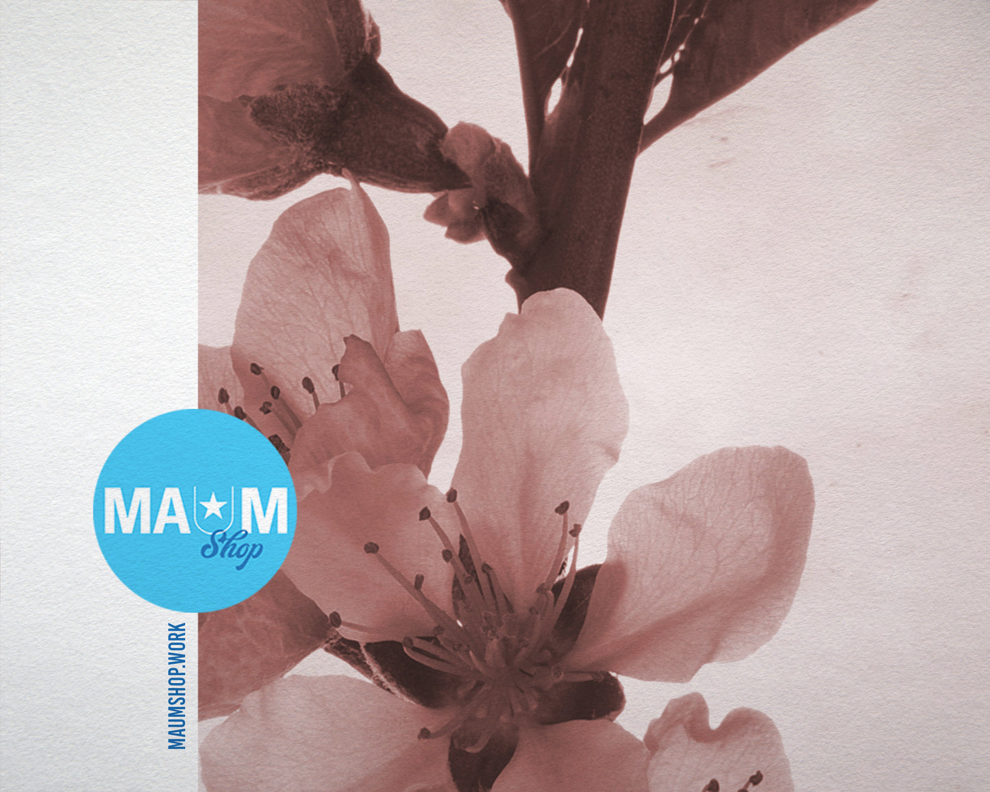 Cherry Blossoms Sepia Plants Art Wood Framed Print Wall Decor Gifts