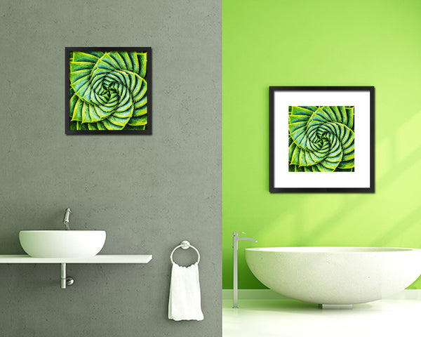 Aloe Succulent Evergreen Leaves Spiral Plant Wood Framed Print Decor Wall Art Gifts