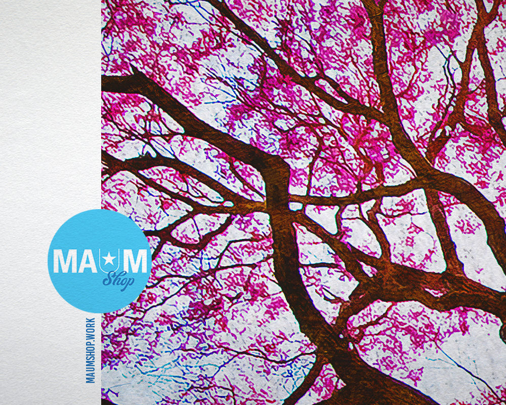 Pink Lapacho Tree Pocone Mato Grosso Brazil Landscape Painting Print Art Frame Wall Decor Gifts