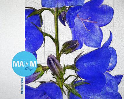Bellflowers Sketch Plants Art Wood Framed Print Wall Decor Gifts