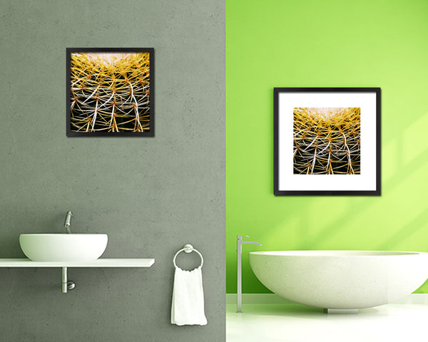 Golden Barrel Cactus Evergreen Succulent Leaves Spiral Plant Wood Framed Print Decor Wall Art Gifts