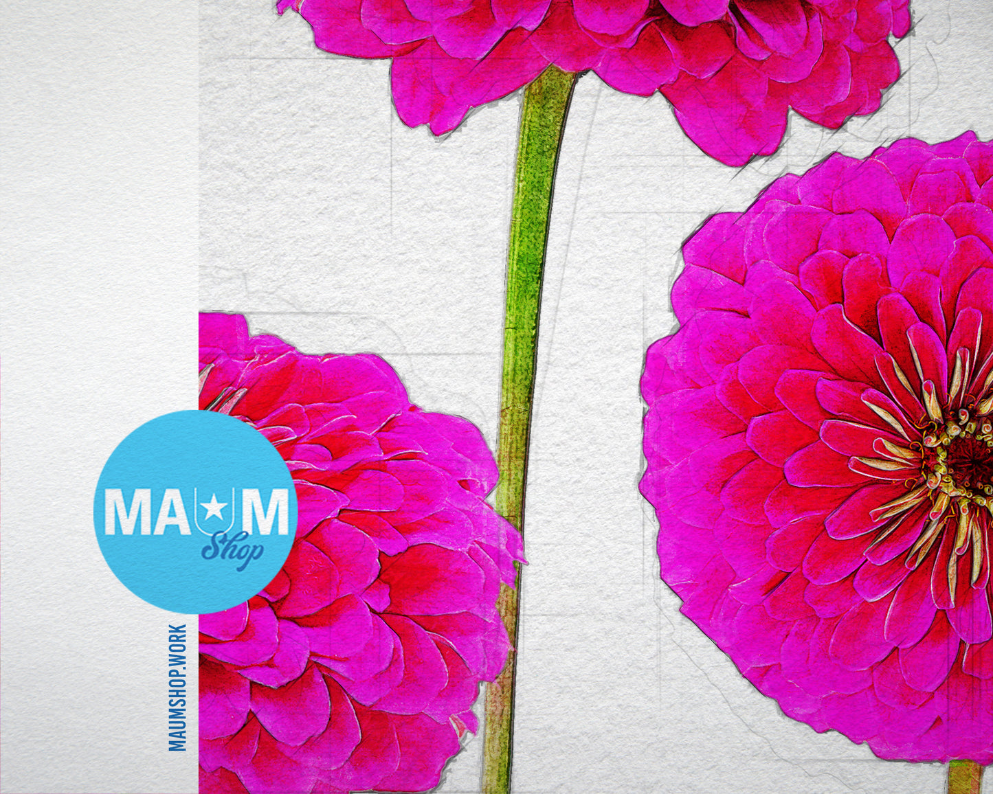 Pink Zinnia Sketch Plants Art Wood Framed Print Wall Decor Gifts