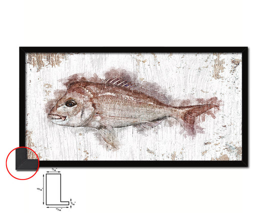 Snapper Fish Art Wood Frame Shabby Chic Restaurant Sushi Wall Decor Gifts, 10" x 20"