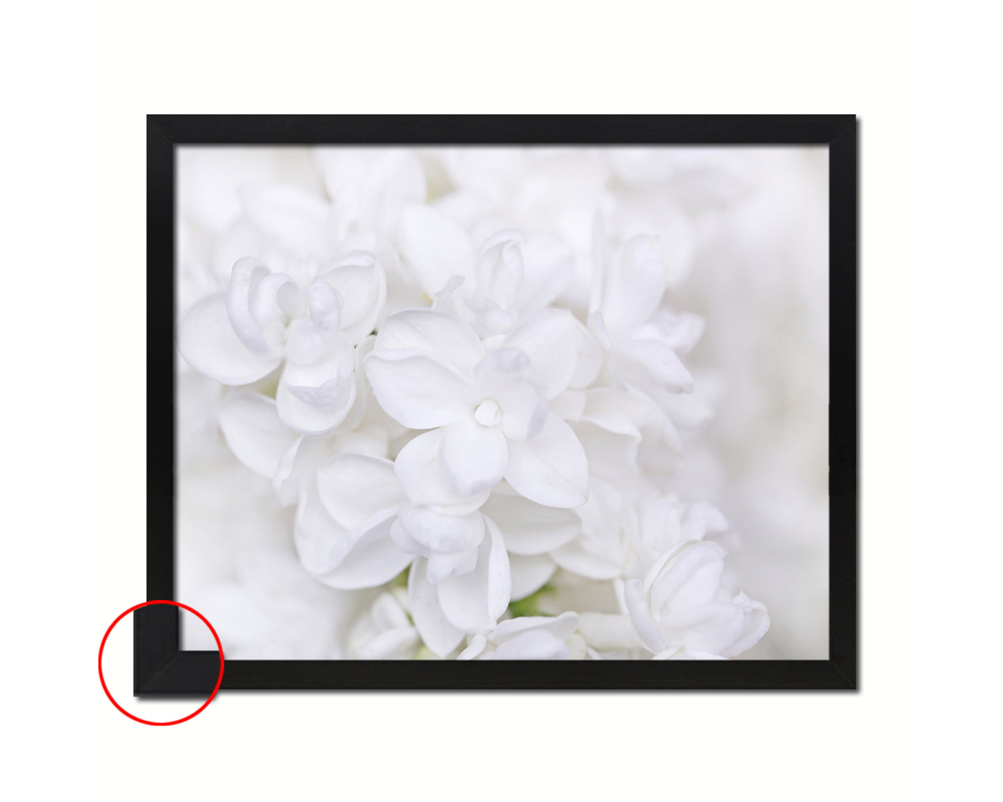 Lilac White Flower Wood Framed Paper Print Wall Decor Art Gifts