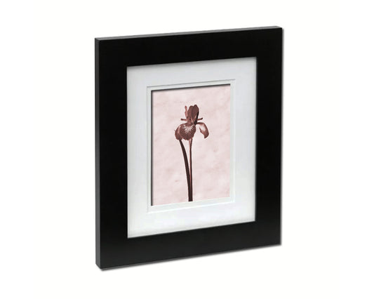 Iris Sepia Plants Art Wood Framed Print Wall Decor Gifts