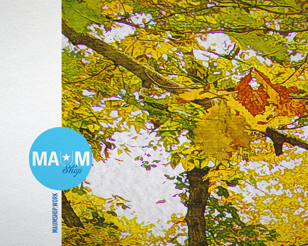 Aomori Prefecture Japan Oirase River Autumn Landscape Painting Print Art Frame Wall Decor Gifts