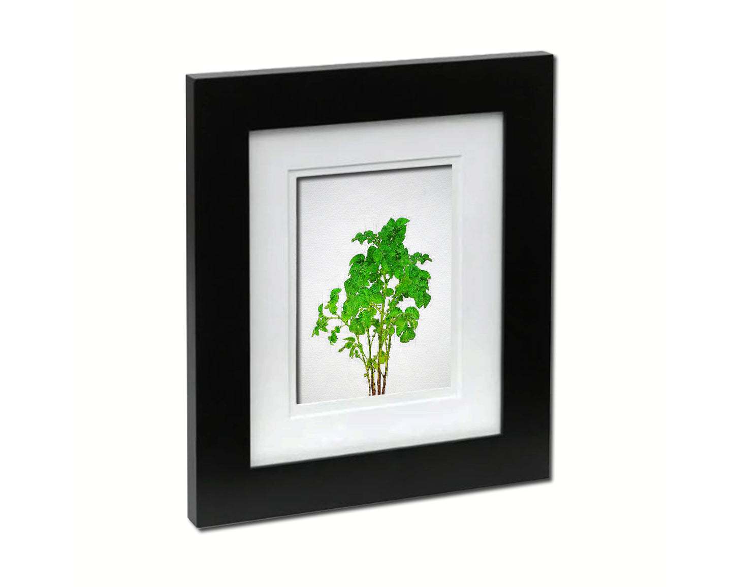 Potato Leaves Sketch Plants Art Wood Framed Print Wall Decor Gifts