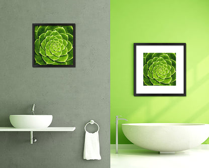 Cactus Plant Succulents Evergreen Leaves Spiral Plant Wood Framed Print Decor Wall Art Gifts