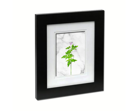 Geranium Robertianum Marble Texture Plants Art Wood Framed Print Wall Decor Gifts