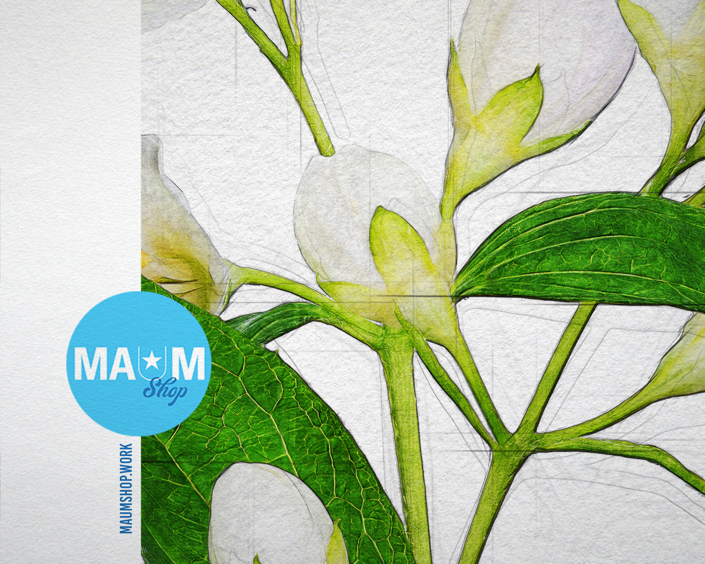 Jasmin Sketch Plants Art Wood Framed Print Wall Decor Gifts