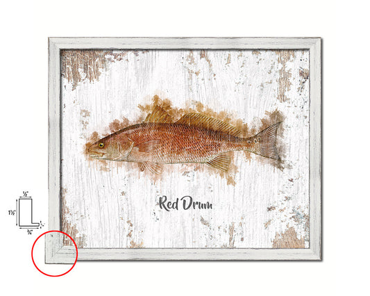 Red Drum Fish Framed Prints Modern Restaurant Sushi Bar Watercolor Wall Art Decor