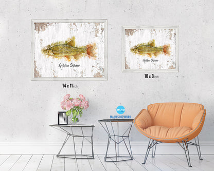 Golden Shiner Fish Framed Prints Modern Restaurant Sushi Bar Watercolor Wall Art Decor