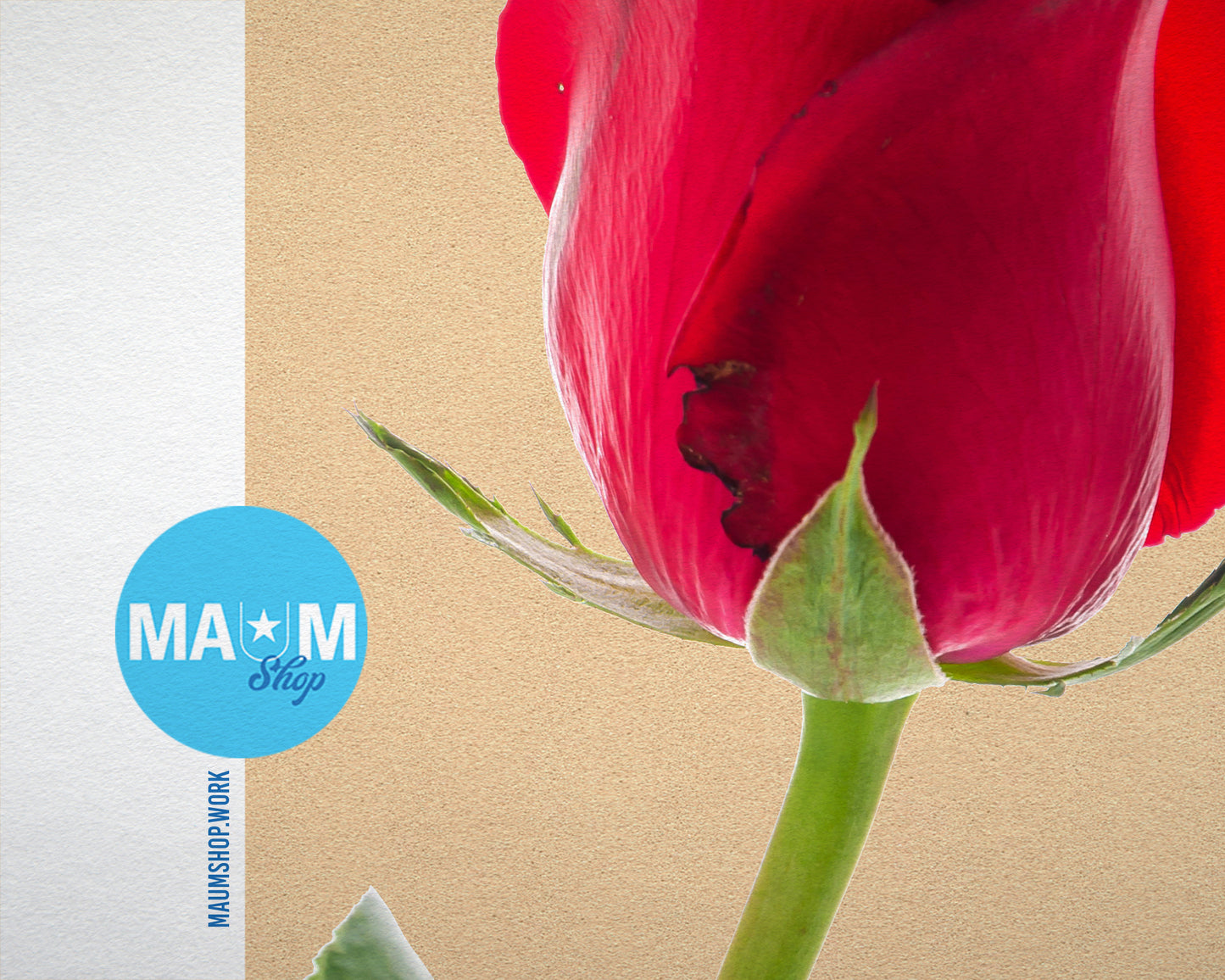 Red Rose Colorful Plants Art Wood Framed Print Wall Decor Gifts