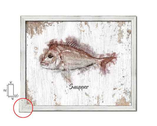 Snapper Fish Framed Prints Modern Restaurant Sushi Bar Watercolor Wall Art Decor
