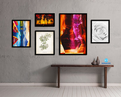 Banksiae Lutea Vintage Botanical Rose Flower Art Wood Framed Print Wall Decor Gifts