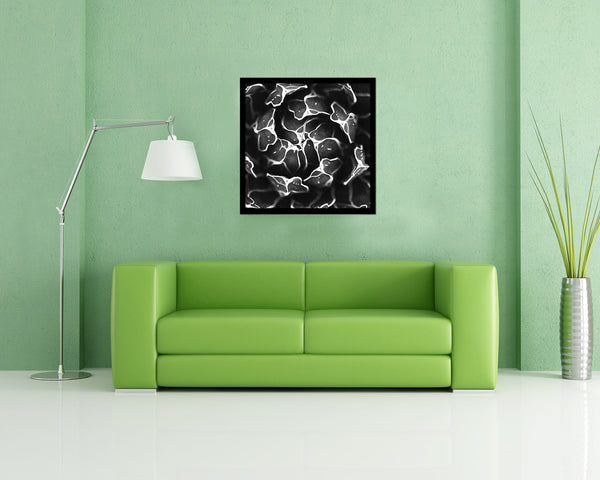 Queen Victoria Agave B &W Succulent Leaves Spiral Plant Wood Framed Print Decor Wall Art Gifts