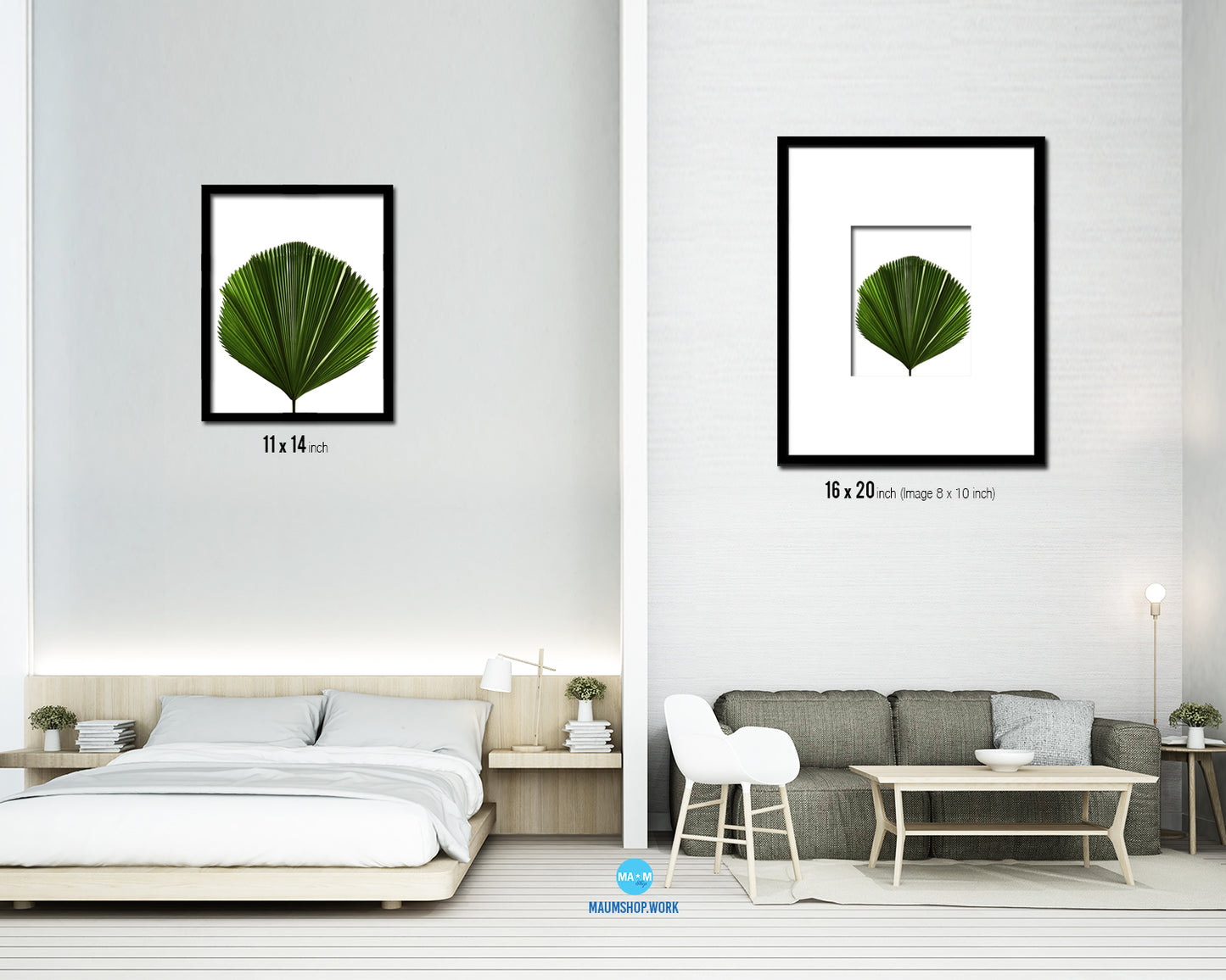 Licuala Grandis, Ruffled Fan Palm Tropical Leaf Framed Print Home Decor Wall Art Gifts