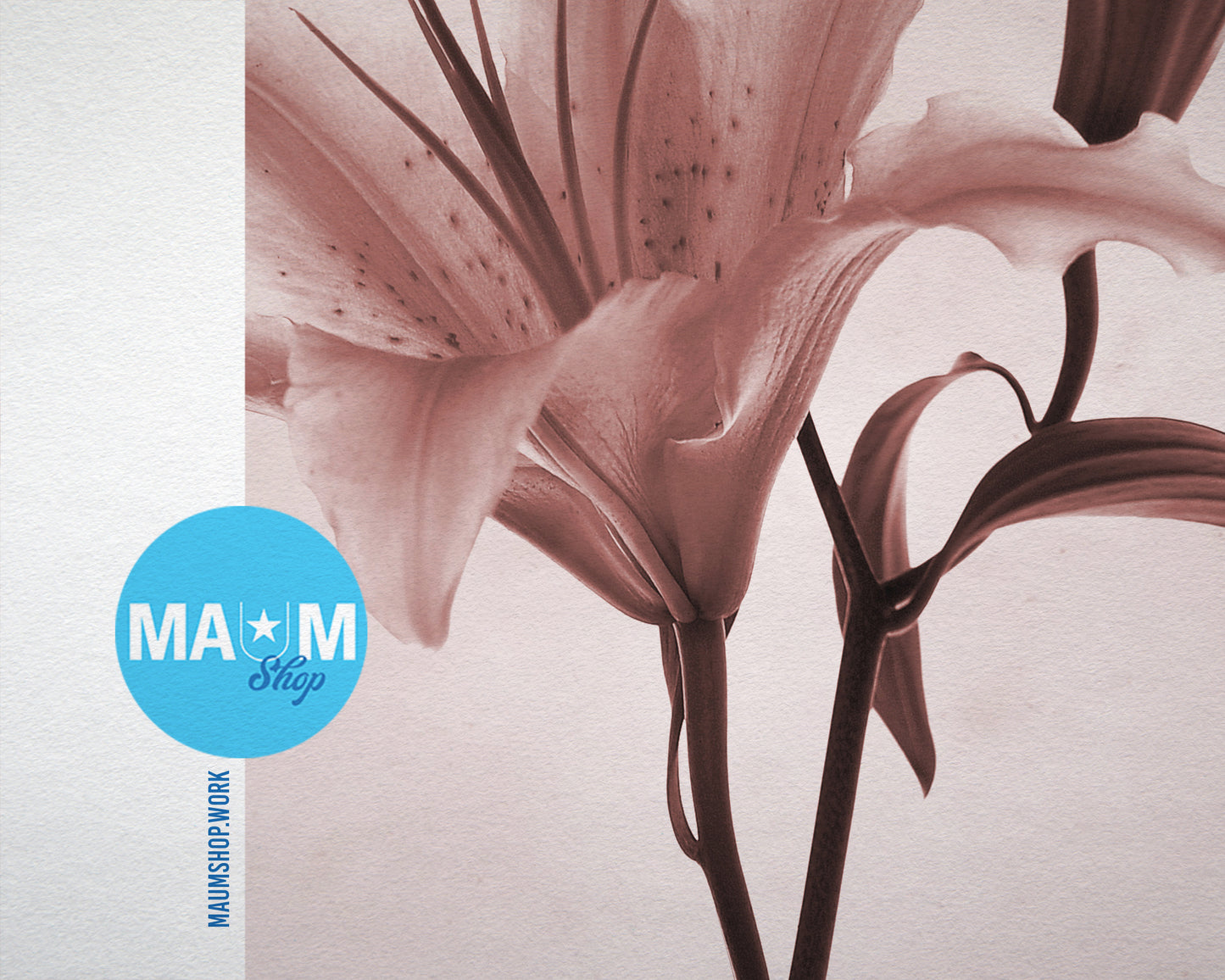 Pink Lily Sepia Plants Art Wood Framed Print Wall Decor Gifts