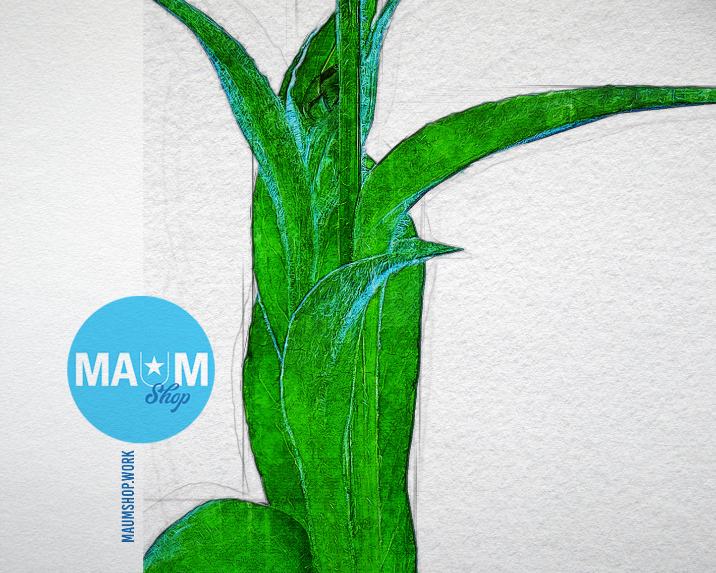 Cornflower Sketch Plants Art Wood Framed Print Wall Decor Gifts